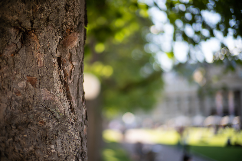 BRIGHTIN STAR 50mm 0.95 e-mount fe sony a7rii a7riv review comparison contrast sharpness bokeh vignetting fast