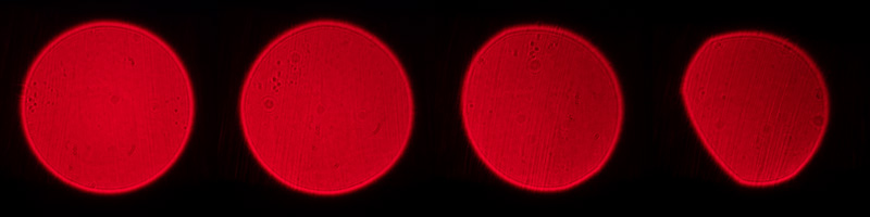 TTartisan 50mm 2.0 e-mount fe sony a7rii a7riv review comparison contrast sharpness vignetting pancake small