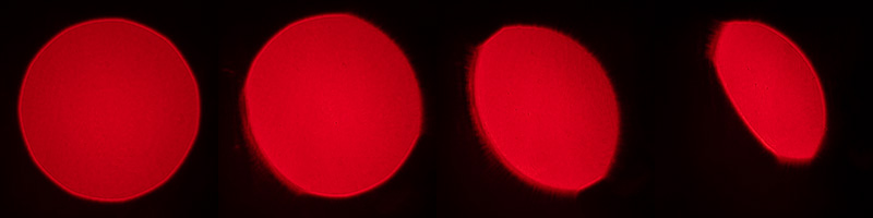 ms-optics ms-optical sonnetar f/1.3 fast noctilux angenieux leica m10 24mp 42mp review sharpness bokeh vignetting comparison