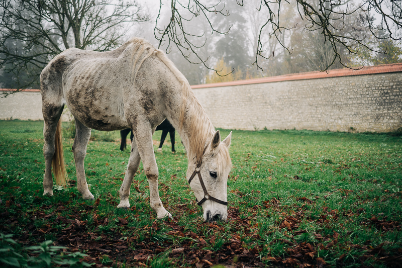 7artisans 35mm 2.0 M wen leica m10 m11 m10r m9 review sharpness contrast bokeh vignetting