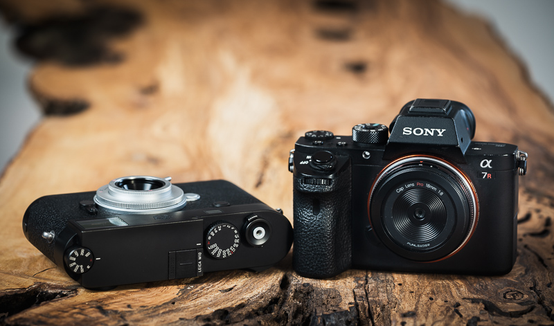 sony e mount pancake full frame