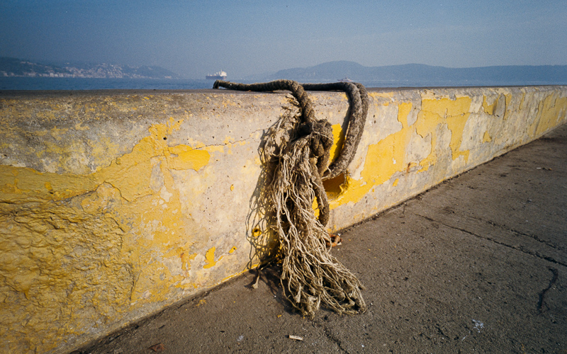 color plus 200 color+ kodak review m6 leica analogue analog