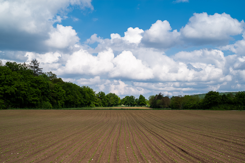 Leica_50mm_1.4_Asph_Sample_10_11 - phillipreeve.net