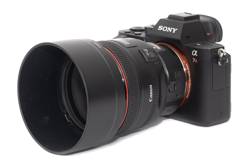 review canon ef 50mm 1.2 l usm 1.2l lens contrast resolution m10 42mp 24mp 61mp m6 analogue contrast bokeh vignetting