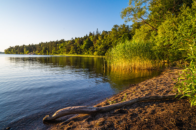 Nikon Nikkor Z 24mm S review sharpness bokeh come vignetting 24mp nikon z6 z6ii 46mp nikon z7 z7ii Z8 Z9