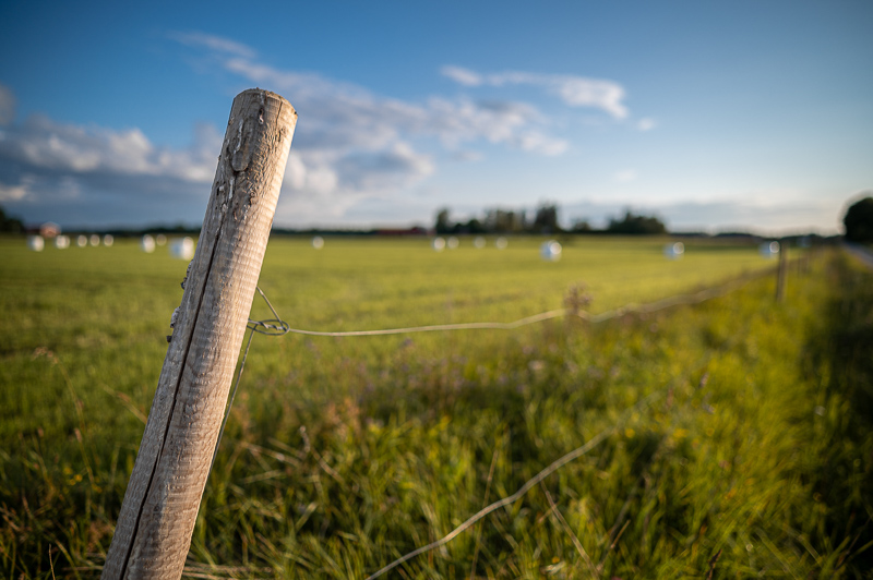 Viltrox 24mm f/1.8 review sharpness bokeh coma vignetting 24mp nikon z6 z6ii 46mp nikon z7 z7ii Z8 Z9