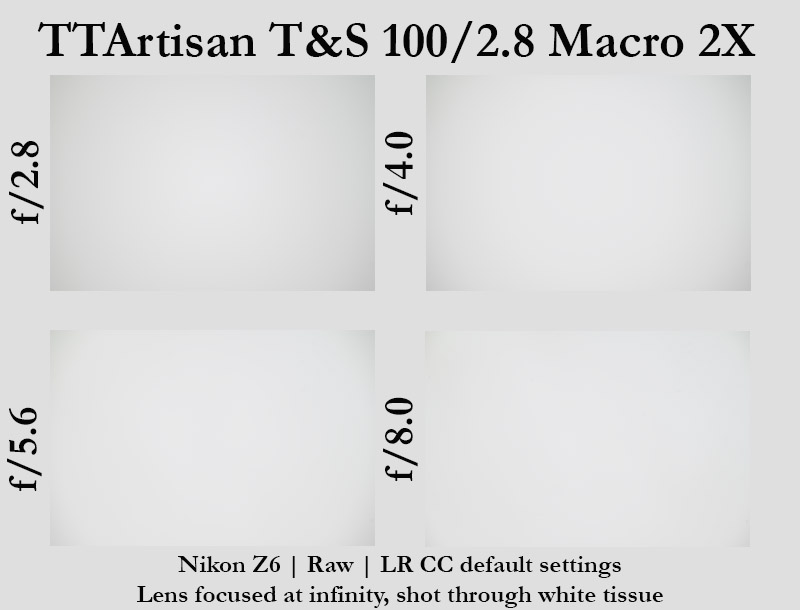 TTArtisan T&S 100/2.8 Macro 2X review sharpness bokeh coma vignetting 24mp nikon z6 z6ii 46mp nikon z7 z7ii Z8 Z9