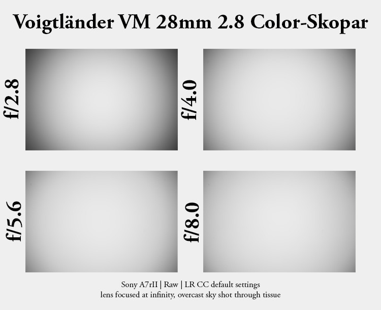 voigtländer 28mm 2.8 color skopar ultron leica review contrast sharpness vignetting 24mp m10 42mp m11 resolution