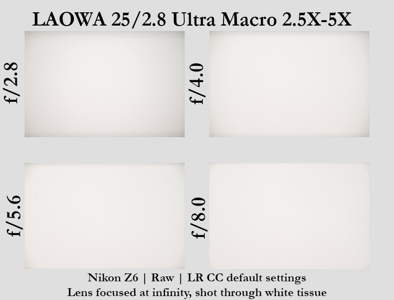 Laowa 25mm f/2.8 2.5-5x Ultra Macro review sharpness bokeh coma vignetting 24mp nikon z6 z6ii 46mp nikon z7 z7ii Z8 Z9 D7200 D750 D600 D800 D7500