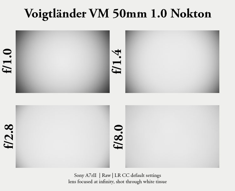 Voigtländer VM 50mm 1.0 nokton fle review sharpness comparison leica m10 24mp 42mp 61mp m11 bokeh vignetting coma