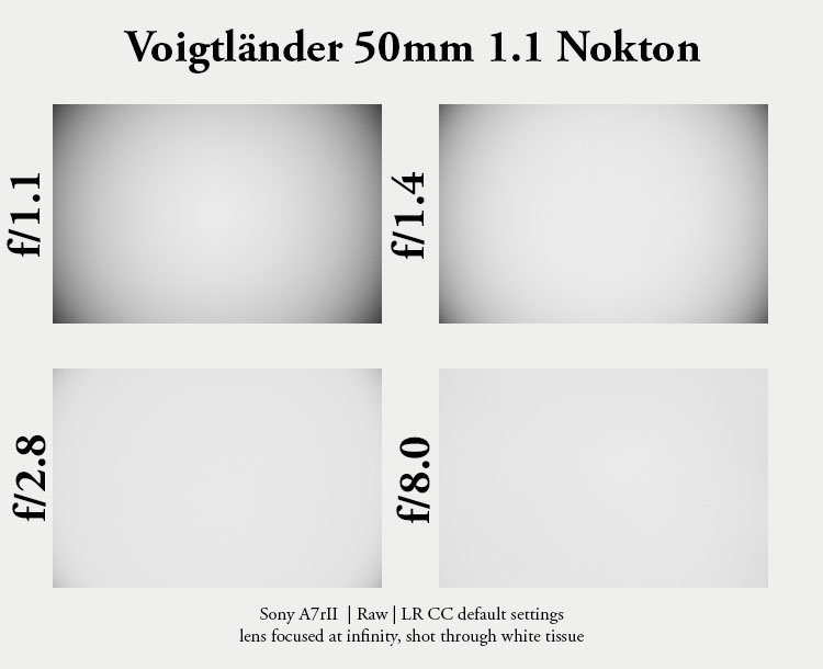 Voigtländer VM 50mm 1.1 nokton fle review sharpness comparison leica m10 24mp 42mp 61mp m11 bokeh vignetting coma