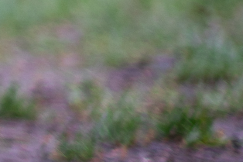 nikon nikkor af-s 85mm 1.4g n gold ring portrait review contrast resolution famous 42mp 61mp bokeh vignetting coma aspherical sony a7rII z7 z8 z9 z6 zf