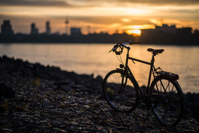 nikon nikkor af-s 85mm 1.4g n gold ring portrait review contrast resolution famous 42mp 61mp bokeh vignetting coma aspherical sony a7rII z7 z8 z9 z6 zf