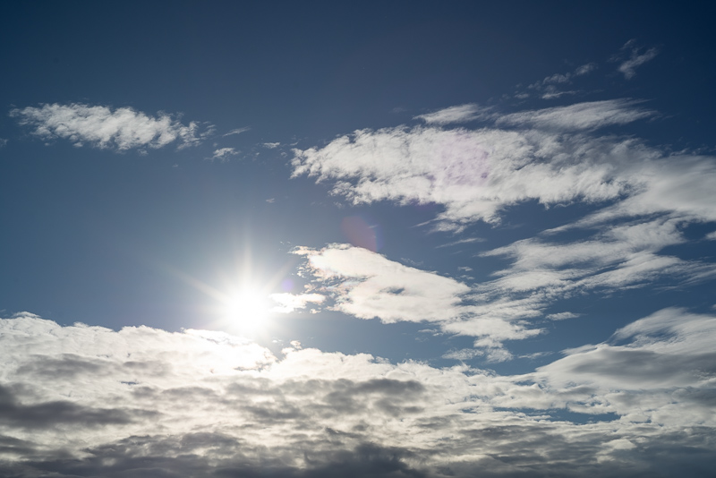 nikon 50mm 1.8 serie series e cheap affordable nikkor review 42mp sony nikon z 61mp z6 z7 z8 z9 a7riv a7rv contrast sharpness bokeh vignetting