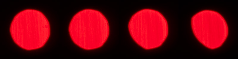 nikon af af-d 135mm 2.0 defocus control dc ed if sharpness review contrast resolution 42mp 61mp 24mp vignetting coma bokeh build quality flare resistance