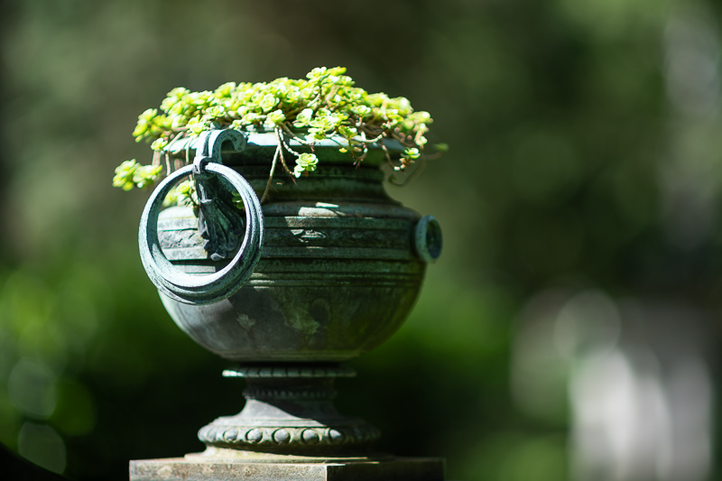 nikon af af-d 135mm 2.0 defocus control dc ed if sharpness review contrast resolution 42mp 61mp 24mp vignetting coma bokeh build quality flare resistance