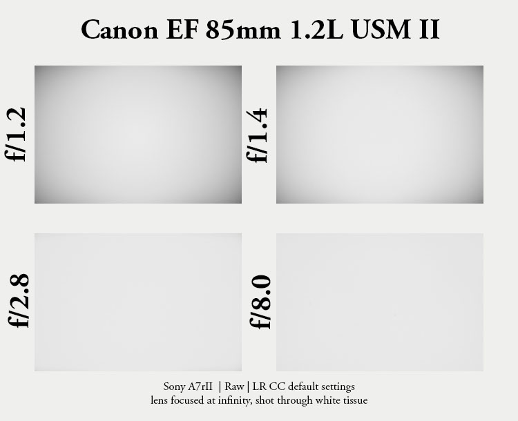 review canon ef 85mm 1.2 l usm II mark 2 mk2 mkii 1.2l lens contrast resolution m10 42mp 24mp 61mp m6 analogue contrast bokeh vignetting