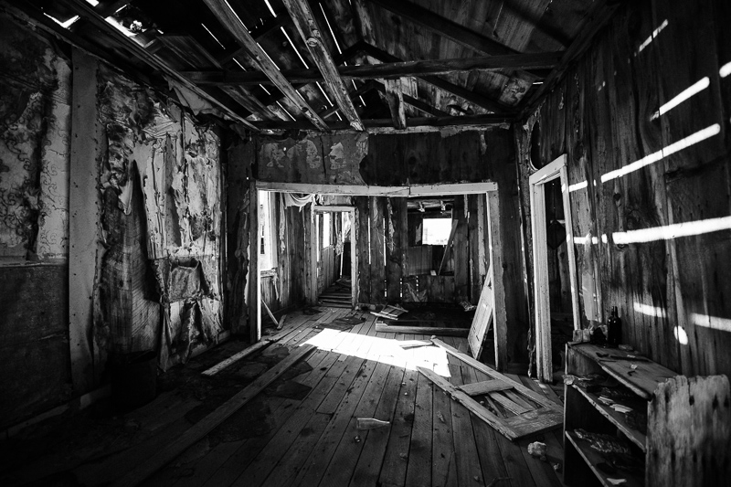 nikon af-s 14-24mm 2.8 G ed N zoom uwa ultra wide angle astro 42mp sony nikon z 61mp z6 z7 z8 z9 a7riv a7rv contrast sharpness vignetting portrait