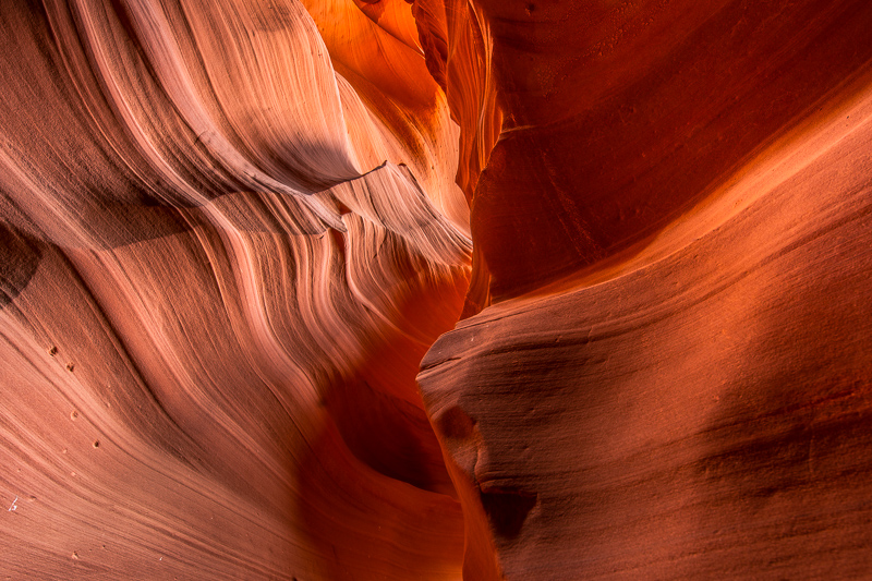 nikon af-s 14-24mm 2.8 G ed N zoom uwa ultra wide angle astro 42mp sony nikon z 61mp z6 z7 z8 z9 a7riv a7rv contrast sharpness vignetting portrait