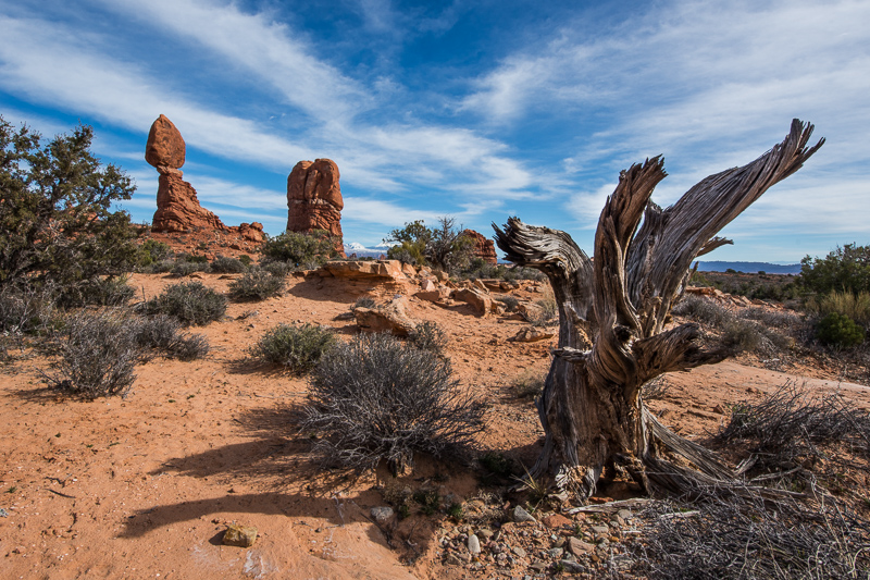 nikon af-s 14-24mm 2.8 G ed N zoom uwa ultra wide angle astro 42mp sony nikon z 61mp z6 z7 z8 z9 a7riv a7rv contrast sharpness vignetting portrait