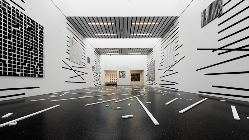 nikon af-s 14-24mm 2.8 G ed N zoom uwa ultra wide angle astro 42mp sony nikon z 61mp z6 z7 z8 z9 a7riv a7rv contrast sharpness vignetting portrait