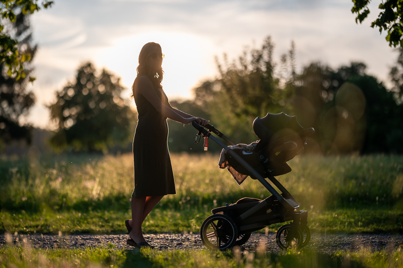 sigma 105mm 1.4 art dg hsm bokeh master sony 42mp 61mp a7rii a7riv a7riii a1 a9iii a7rv review resolution sharpness contrast bokeh vignetting coma astrophotography z6 z7 z8 z9