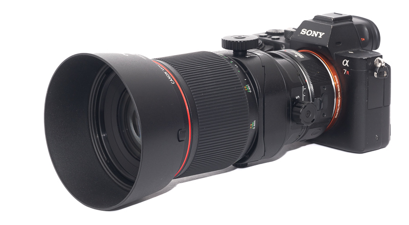61mp 42mp high res resolution canon tilt shift ts-e pc-e perspective control TS T/S sony adapter 135mm 4.0 l macro review resolution contrast bokeh makro