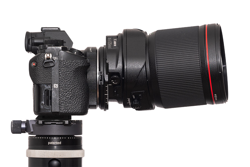 61mp 42mp high res resolution canon tilt shift ts-e pc-e perspective control TS T/S sony adapter 135mm 4.0 l macro review resolution contrast bokeh makro