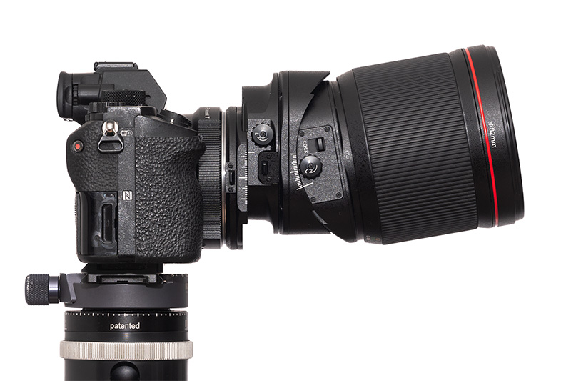 61mp 42mp high res resolution canon tilt shift ts-e pc-e perspective control TS T/S sony adapter 135mm 4.0 l macro review resolution contrast bokeh makro