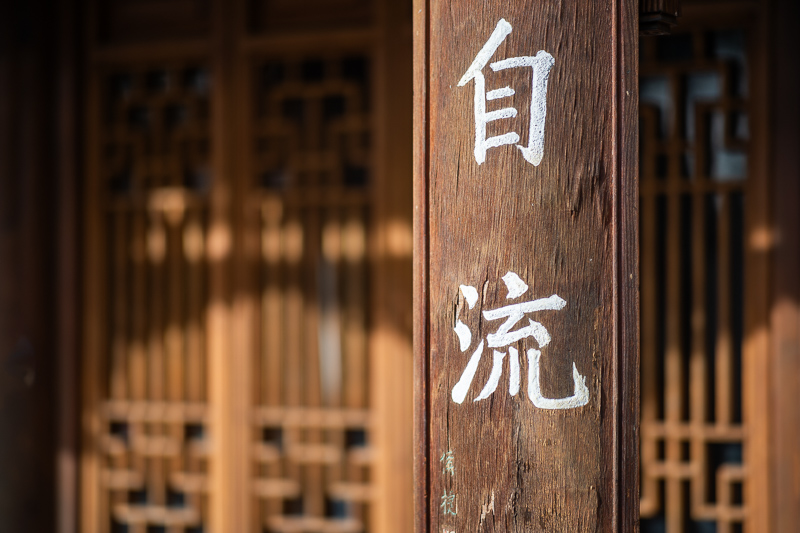 samyang 85mm 1.2 xp premium mf canon ef sony a7r 42mp review sharpness bokeh coma vignetting contrast a7riii a7riv a7rv z6 z7 z8 z9 zf z7ii z6iii