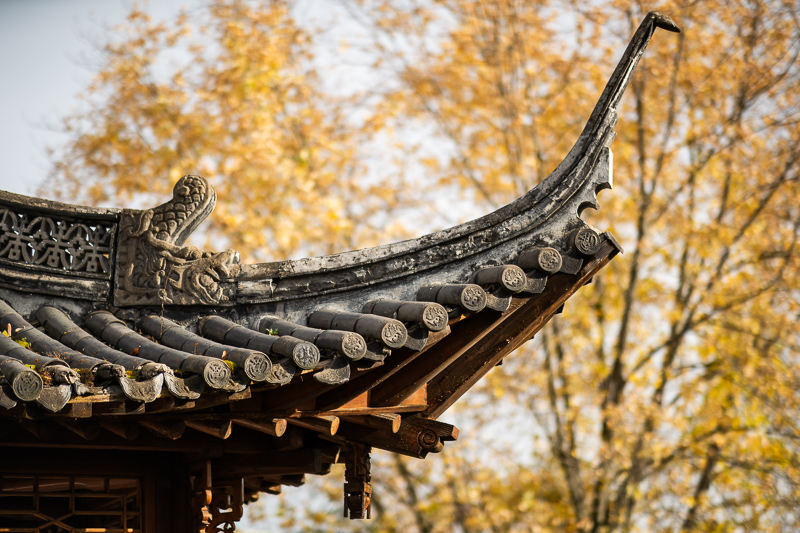 samyang 85mm 1.2 xp premium mf canon ef sony a7r 42mp review sharpness bokeh coma vignetting contrast a7riii a7riv a7rv z6 z7 z8 z9 zf z7ii z6iii
