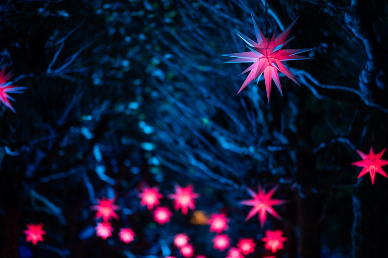 samyang 85mm 1.2 xp premium mf canon ef sony a7r 42mp review sharpness bokeh coma vignetting contrast a7riii a7riv a7rv z6 z7 z8 z9 zf z7ii z6iii