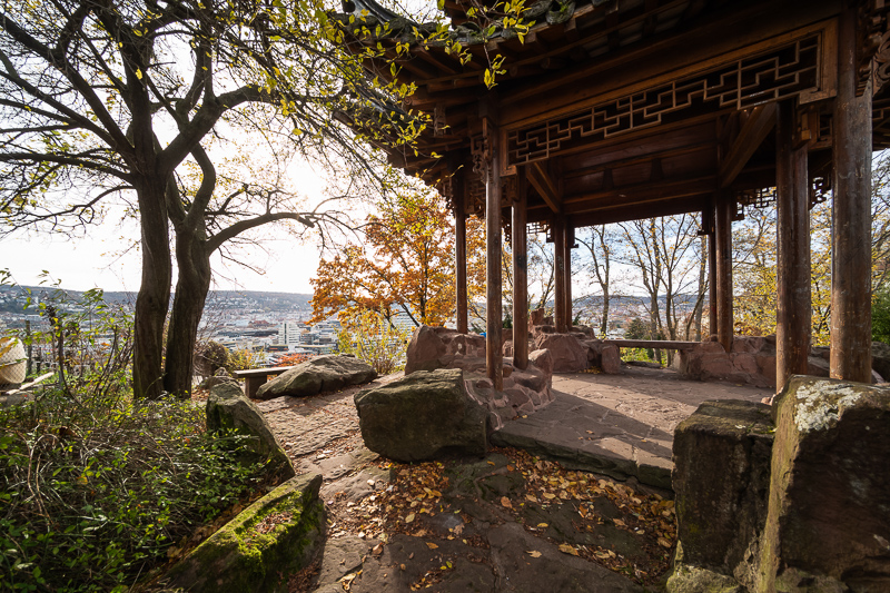 voigtländer vm 12mm 5.6 iii mk mark 3 resolution contrast flare resistance distortion vignetting coma leica m10 m9 m11 monochrome mono sony nikon a7rv z6 z6 z8 z9 zf