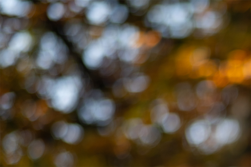 samyang 85mm 1.2 xp premium mf canon ef sony a7r 42mp review sharpness bokeh coma vignetting contrast a7riii a7riv a7rv z6 z7 z8 z9 zf z7ii z6iii
