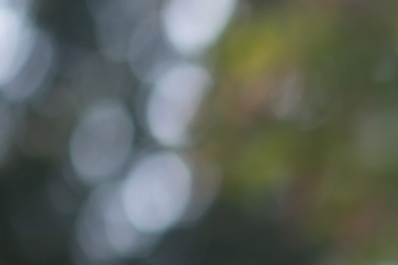 samyang 85mm 1.2 xp premium mf canon ef sony a7r 42mp review sharpness bokeh coma vignetting contrast a7riii a7riv a7rv z6 z7 z8 z9 zf z7ii z6iii