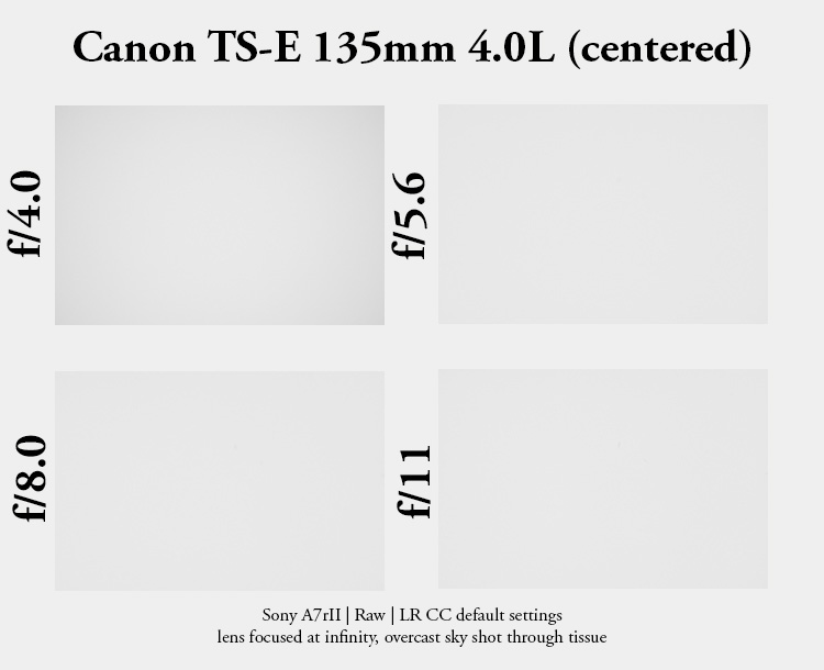 61mp 42mp high res resolution canon tilt shift ts-e pc-e perspective control TS T/S sony adapter 135mm 4.0 l macro review resolution contrast bokeh makro