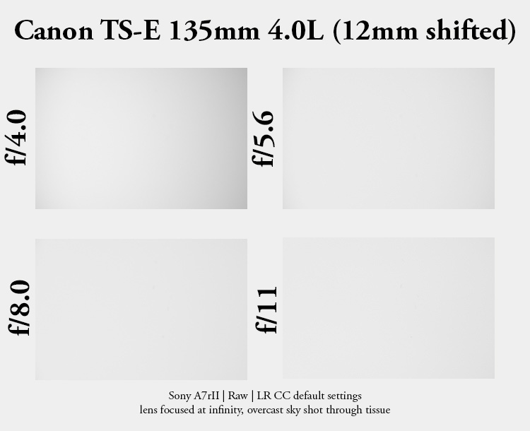 61mp 42mp high res resolution canon tilt shift ts-e pc-e perspective control TS T/S sony adapter 135mm 4.0 l macro review resolution contrast bokeh makro