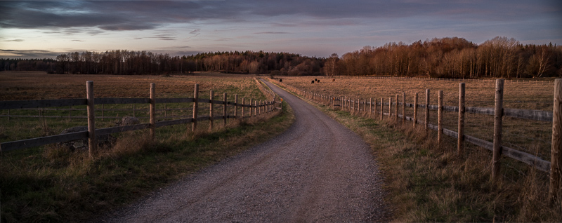 Nikon Zf | Laowa FF II TS 55mm f/2.8 1X Macro | f/5.6 (Shift panorama)