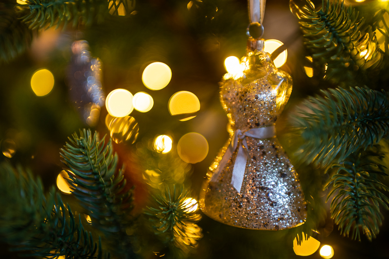 samyang 35mm 1.2 xp premium mf canon ef sony a7r 42mp review sharpness bokeh coma vignetting contrast a7riii a7riv a7rv z6 z7 z8 z9 zf z7ii z6iii