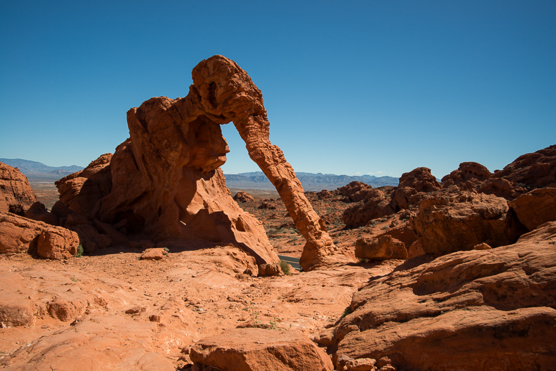 nikon af-s 20mm 1.8 g n ed sony 42mp 61mp a7rii a7riv a7riii a1 a9iii a7rv review resolution sharpness contrast bokeh vignetting coma z6 z7 z8 z9