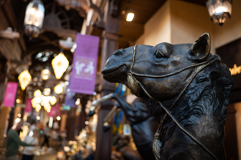 nikon af-s 28mm 1.4 e n ed sony 42mp 61mp a7rii a7riv a7riii a1 a9iii a7rv review resolution sharpness contrast bokeh vignetting coma z6 z7 z8 z9