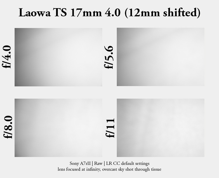 laowa venus optics 61mp 42mp high res resolution canon tilt shift ts-e pc-e perspective control TS T/S 17mm 4.0 review resolution contrast bokeh makro