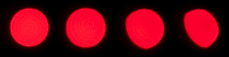 viltrox 85mm 1.4 lab fe pro af bokeh master gm sony 42mp 61mp a7rii a7riv a7riii a1 a9iii a7rv review resolution sharpness contrast bokeh vignetting coma astrophotography z6 z7 z8 z9
