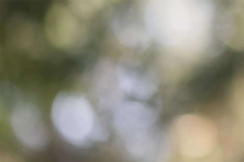 sirui viltrox pro lab 85mm 1.4 aurora fe af gm sony 42mp 61mp a7rii a7riv a7riii a1 a9iii a7rv review resolution sharpness contrast bokeh z6 z7 z8 z9 comparison