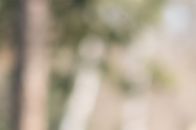 sirui viltrox pro lab 85mm 1.4 aurora fe af gm sony 42mp 61mp a7rii a7riv a7riii a1 a9iii a7rv review resolution sharpness contrast bokeh z6 z7 z8 z9 comparison