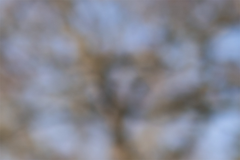 sirui viltrox pro lab 85mm 1.4 aurora fe af gm sony 42mp 61mp a7rii a7riv a7riii a1 a9iii a7rv review resolution sharpness contrast bokeh z6 z7 z8 z9 comparison