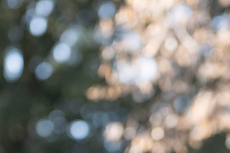 sirui viltrox pro lab 85mm 1.4 aurora fe af gm sony 42mp 61mp a7rii a7riv a7riii a1 a9iii a7rv review resolution sharpness contrast bokeh z6 z7 z8 z9 comparison