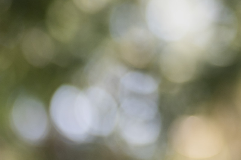 sirui viltrox pro lab 85mm 1.4 aurora fe af gm sony 42mp 61mp a7rii a7riv a7riii a1 a9iii a7rv review resolution sharpness contrast bokeh z6 z7 z8 z9 comparison