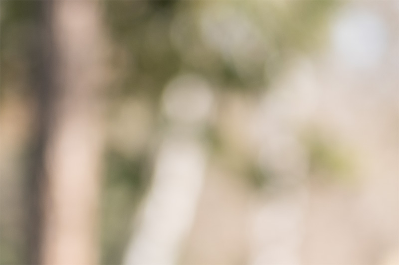 sirui viltrox pro lab 85mm 1.4 aurora fe af gm sony 42mp 61mp a7rii a7riv a7riii a1 a9iii a7rv review resolution sharpness contrast bokeh z6 z7 z8 z9 comparison