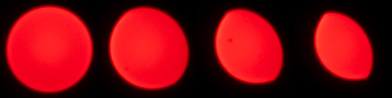 nikon 105mm 1.8 ai ai-s f/1.8 tele fast 1981 1980 reportage press review 42mp sony nikon z 61mp z6 z7 z8 z9 a7riv a7rv contrast sharpness bokeh vignetting